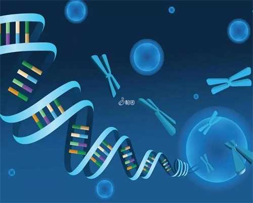 借卵试管费用全解析：资深专家的真实经验分享
